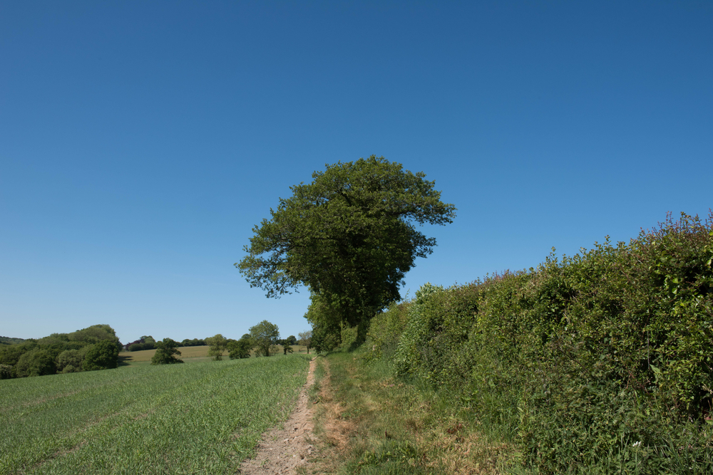 agricultural land solicitor