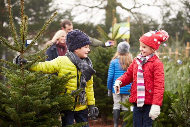 Christmas contact with children