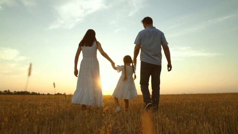 family law dispute
