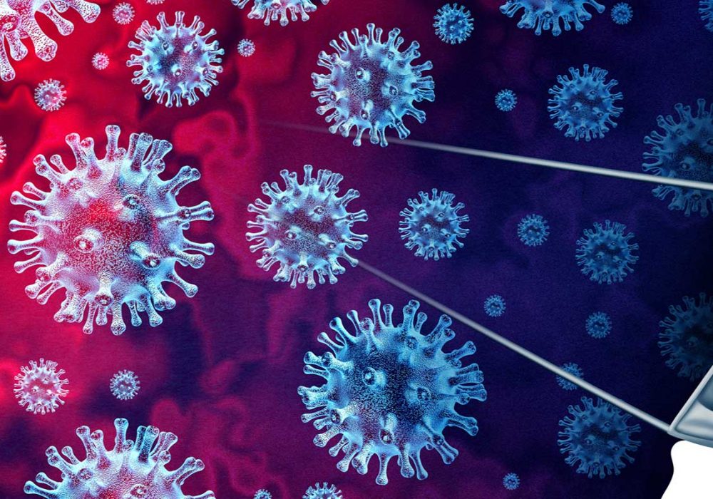 SLB2_0033_shutterstock_1626085978