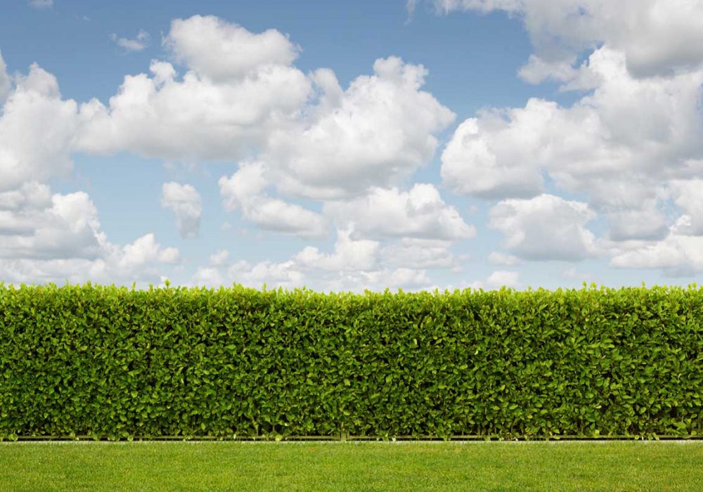 SLB2_0040_shutterstock_200283920