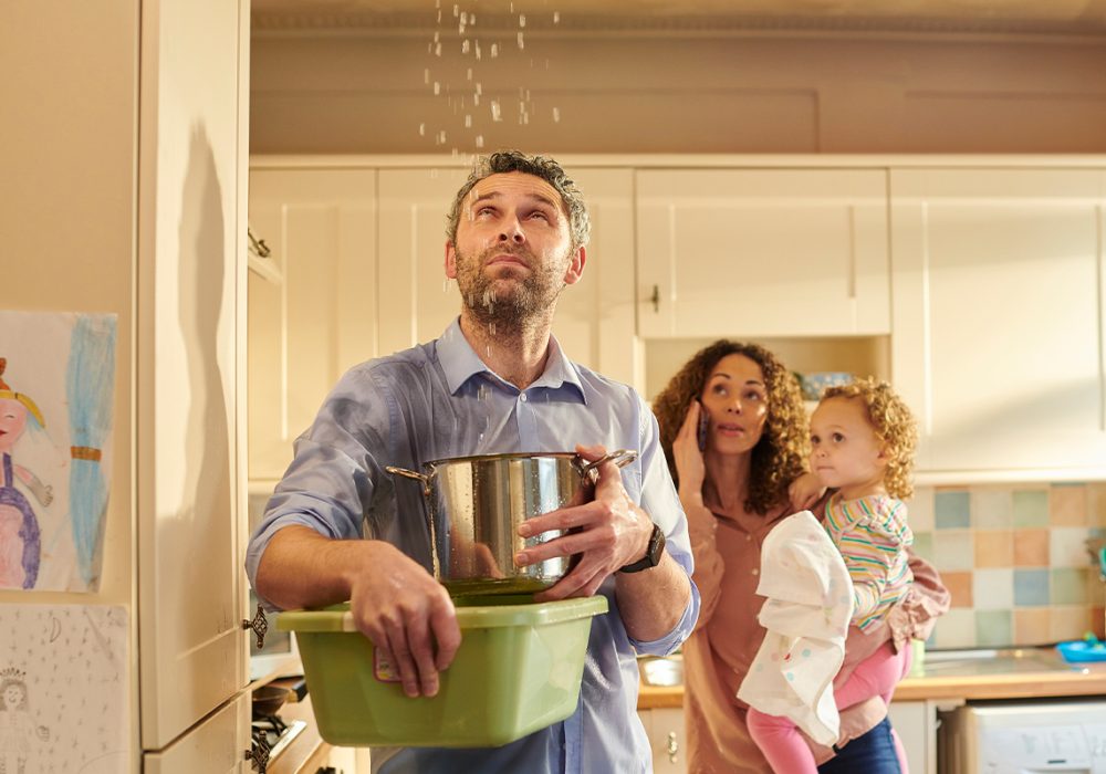 Untitled-1_0001_iStock-1306206468