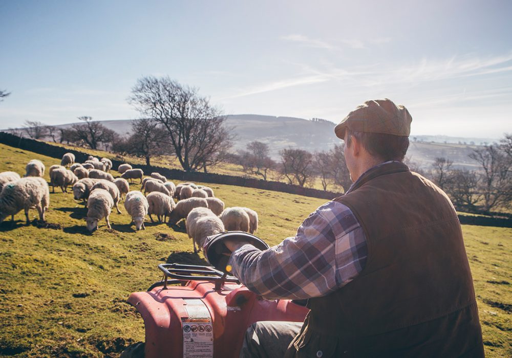 Untitled-1_0011_iStock-532334192