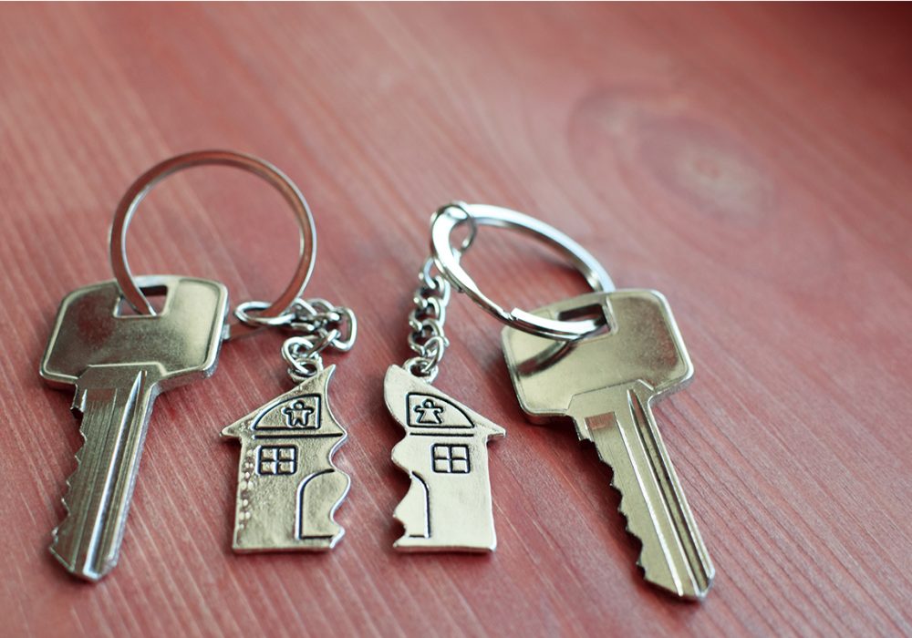 Untitled-1_0012_iStock-1142547374