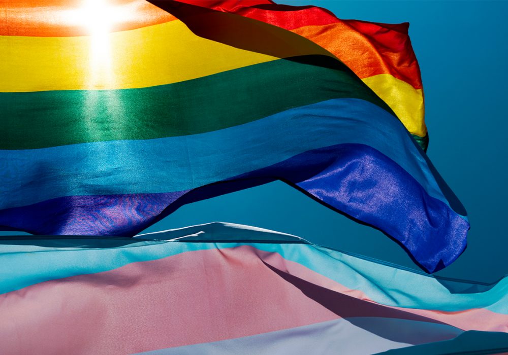 LGBT inheritance law