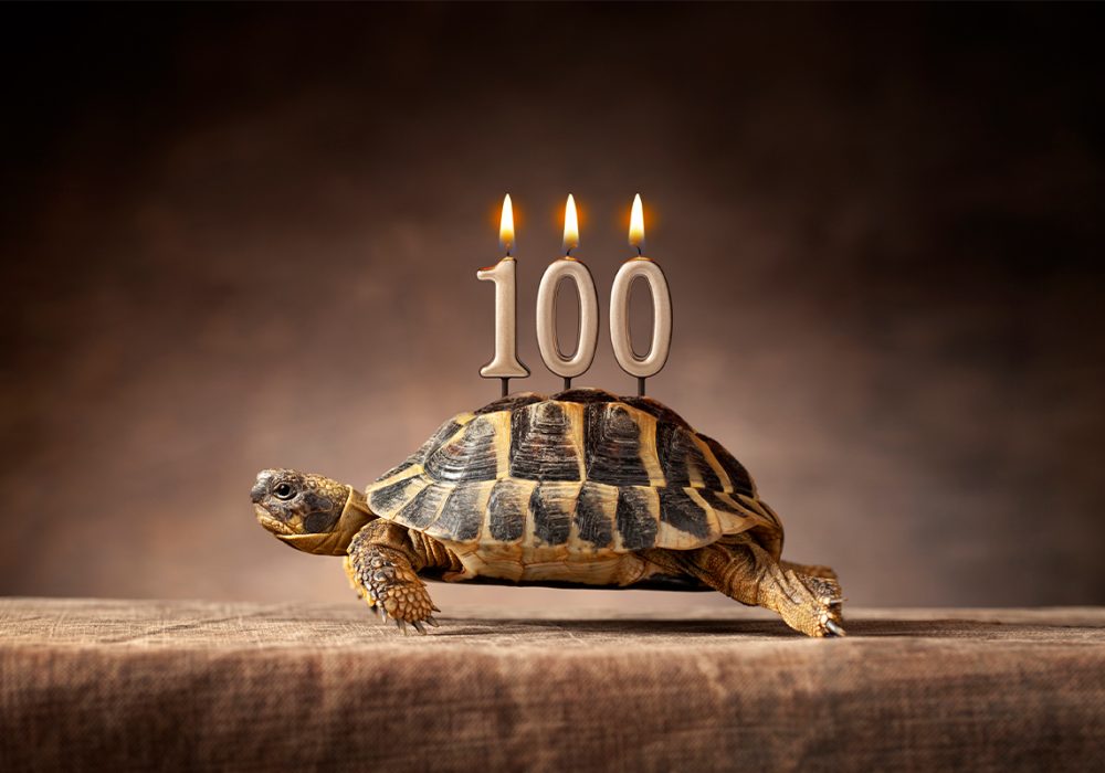 Untitled-1_0016_iStock-1295741643
