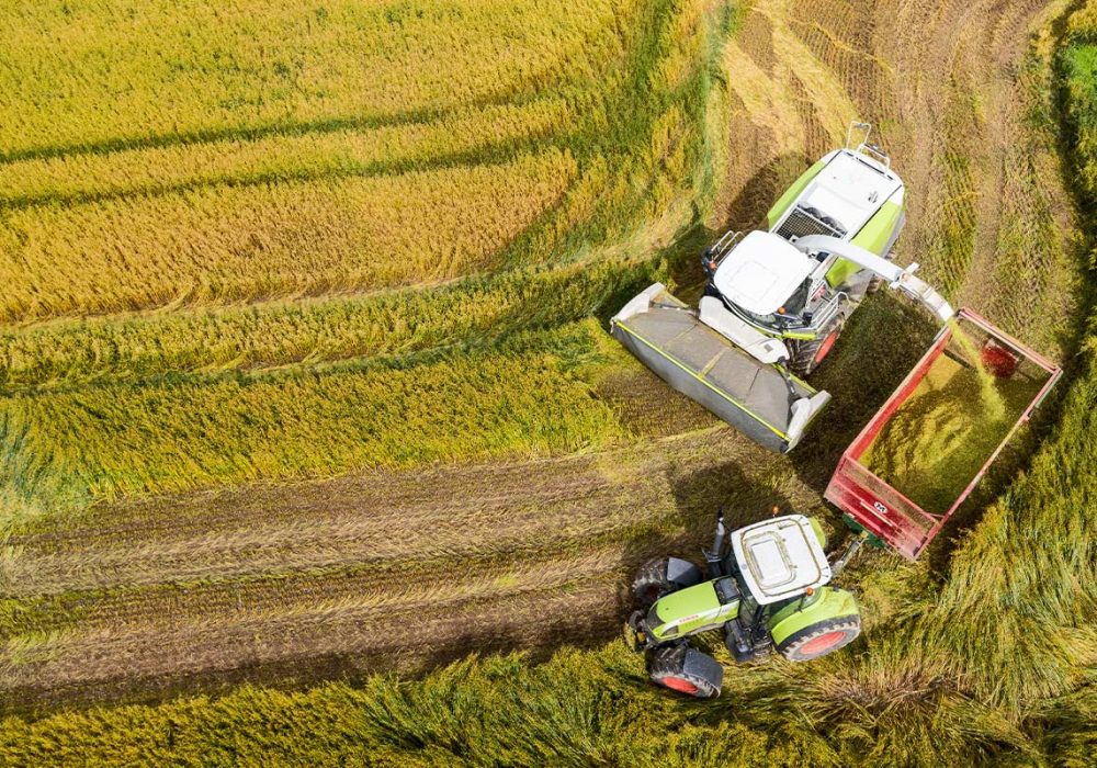 farm-accident
