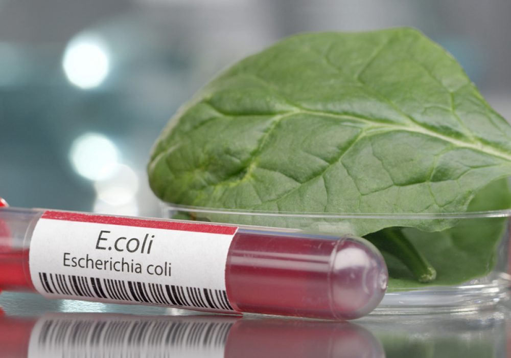E.coli,Antibodies,Next,To,Bowl,Of,Spinach,In,Medical,Lab