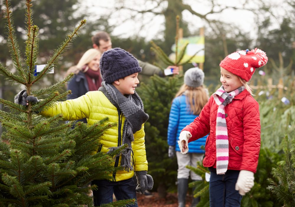 Christmas contact with children