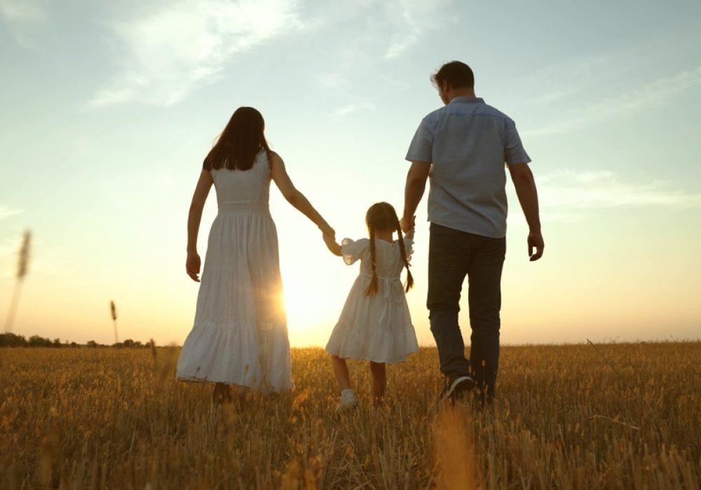 family law dispute